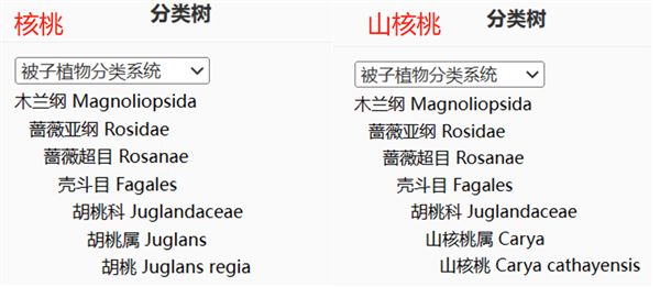 圖源：iPlant植物智