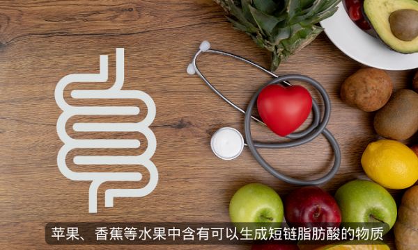  養(yǎng)成易瘦體質(zhì)的關(guān)鍵在腸道！短鏈脂肪酸與減肥的關(guān)系