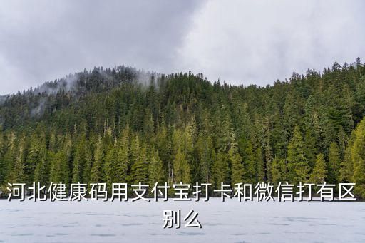 河北健康码用支付宝打卡和微信打有区别么