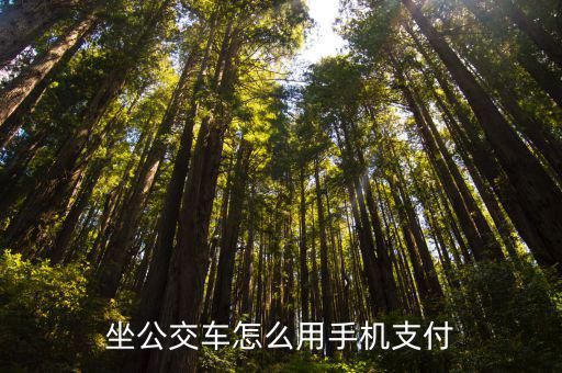 坐公交車怎么用手機(jī)支付