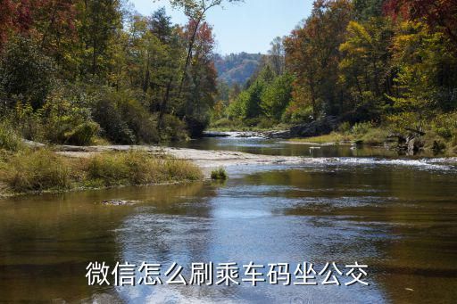微信怎么刷乘車碼坐公交