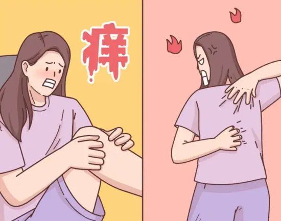 (图源网络)