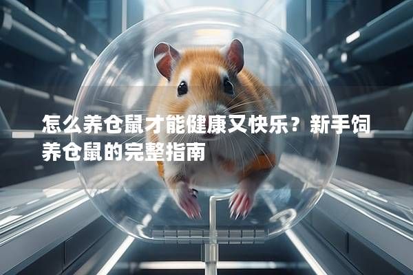 怎么养仓鼠才能健康又快乐？新手饲养仓鼠的完整指南