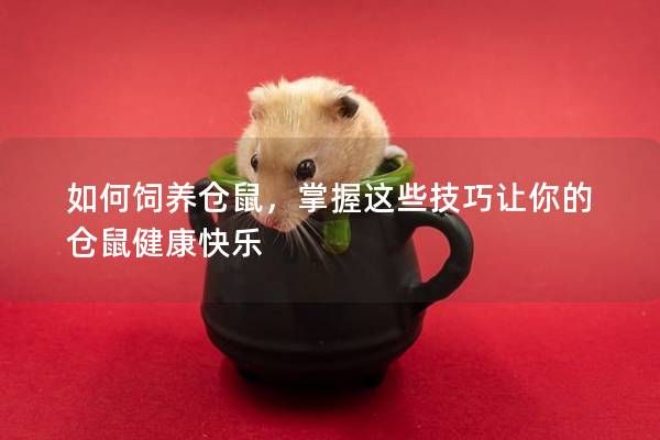 如何飼養(yǎng)倉鼠，掌握這些技巧讓你的倉鼠健康快樂