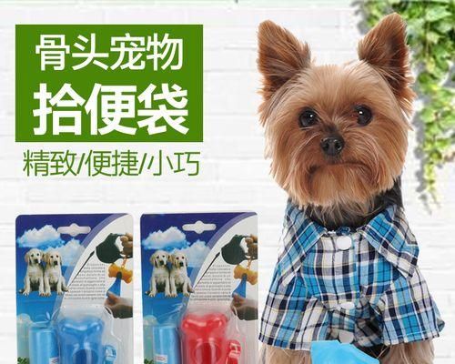 剛出生小狗大便什么樣子的？怎樣判斷小狗的健康狀況？