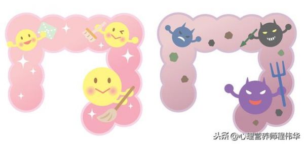 為什么說養(yǎng)生先養(yǎng)腸？想要長壽，腸要通？怎樣才能保證腸道通暢？
