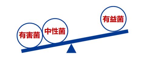 腸道菌群失衡太可怕！如何養(yǎng)好腸道菌群？