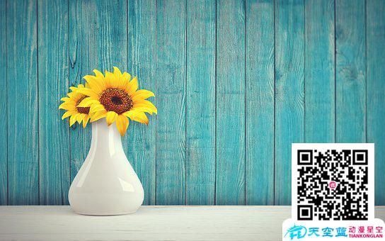 sunflower-3292932__340.jpg