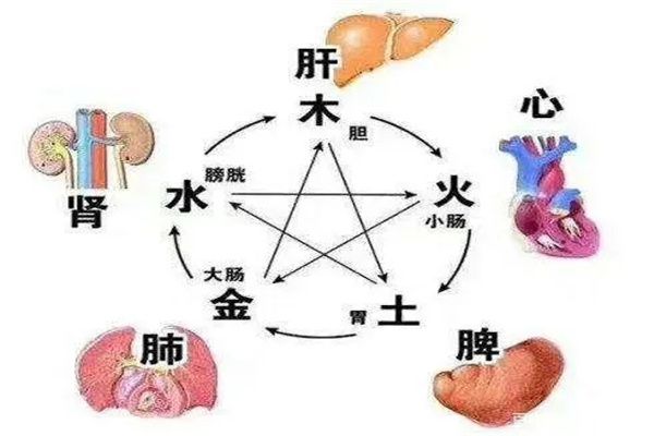 八字看健康技巧