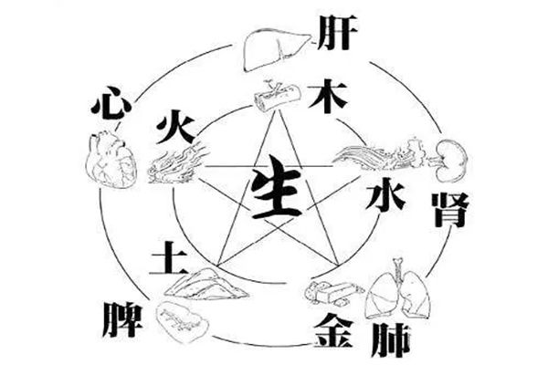 八字看健康技巧