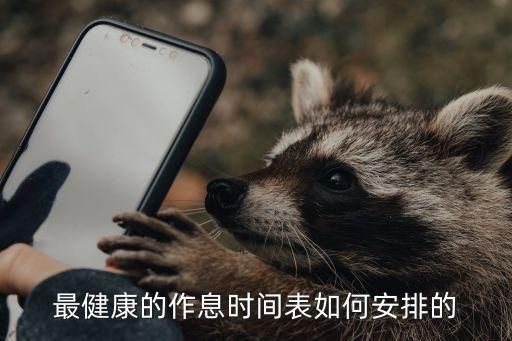 最健康的作息时间表如何安排的