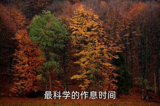 最科学的作息时间
