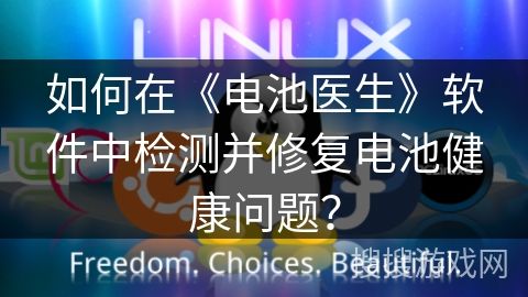 如何在《電池醫(yī)生》軟件中檢測并修復(fù)電池健康問題？