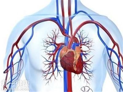 促進血液循環(huán)的藥有哪些 專家揭曉五種促進血液循環(huán)的藥物