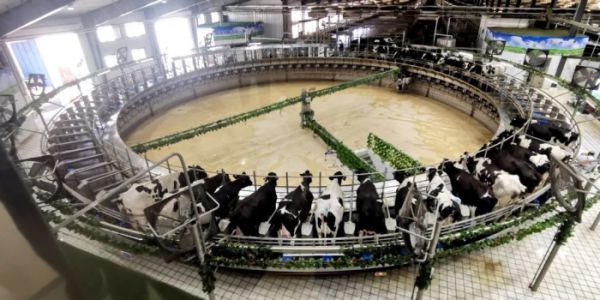 北疆文化 青城印记|伊利现代智慧健康谷相关图片