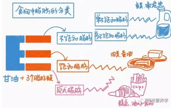 春雨醫(yī)生