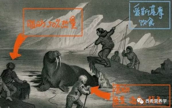 春雨醫(yī)生