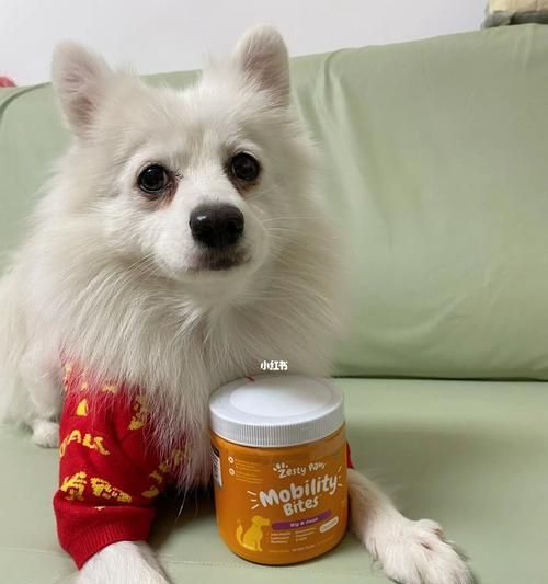 幼犬養(yǎng)護指南（以寵物為主，從飲食、健康、訓練、社交等多方面進行養(yǎng)護）