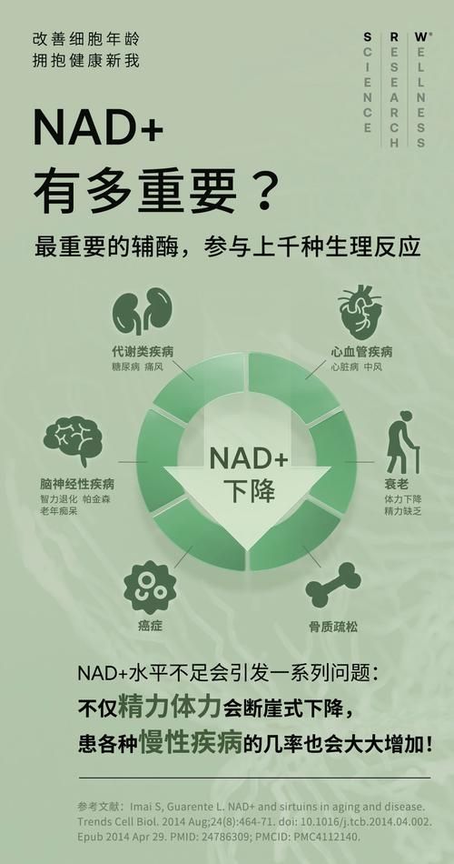 爱健康nmn的含量是多少（爱健康nmn成分）-图2