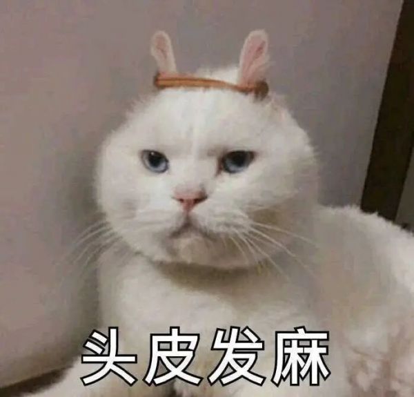 56641587424045668