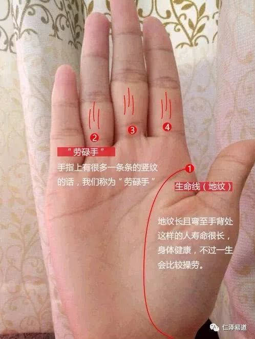 手相算命 從手指看健康 如何看手相財運