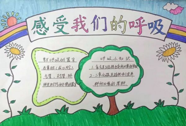 呼吸与健康手抄报内容