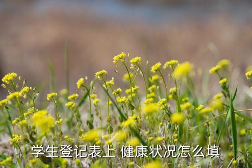 學(xué)生登記表上 健康狀況怎么填