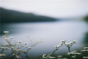 手機預約掛號如何退號