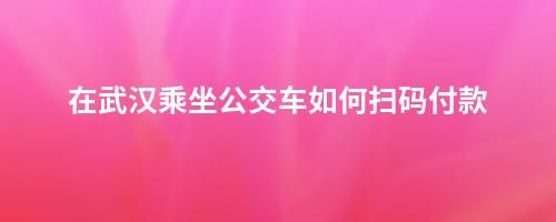 在武漢乘坐公交車如何掃碼付款