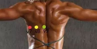 2141689117060684