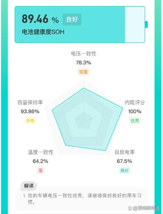 新能源汽車的電池報告怎么查？教你從這5方面，判斷電池健康狀況-有駕