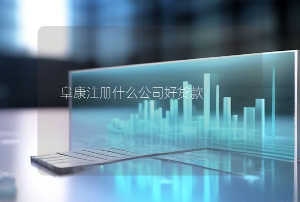 阜康注冊什么公司好貸款