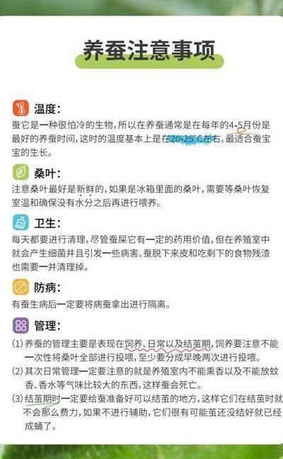 自己在家怎么養(yǎng)蠶（如果讓你在家養(yǎng)蠶,你認(rèn)為應(yīng)該做哪些準(zhǔn)備?）