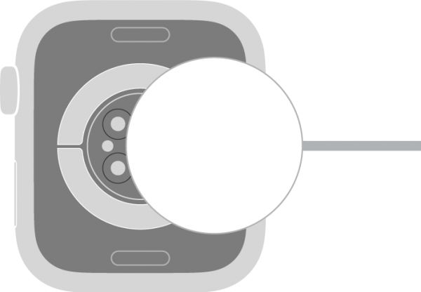 充电器的凹面会通过磁力吸附到 Apple Watch 表背。