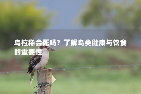 鳥拉稀會死嗎？了解鳥類健康與飲食的重要性