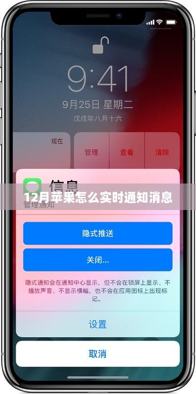 蘋果實(shí)時(shí)通知設(shè)置指南，冬季消息通知全攻略
