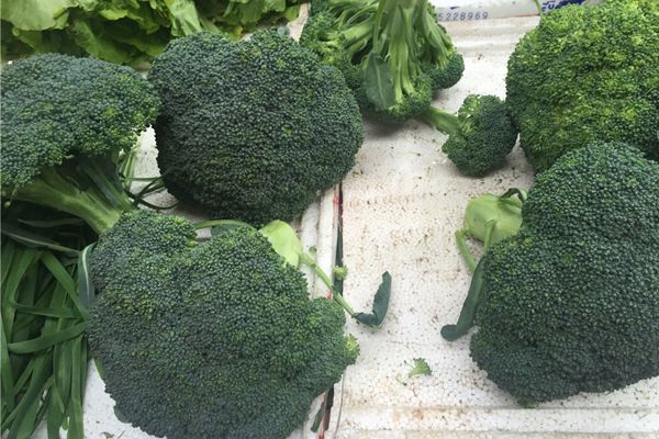 食材-護(hù)肝的食物 西蘭花-張飛祥拍-王妍雅修 (31).jpg