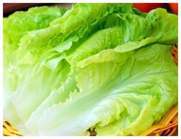 生菜，生吃好還是熟吃好？很多人都不懂，營(yíng)養(yǎng)流失還不好吃