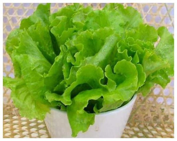 生菜，生吃好還是熟吃好？很多人都不懂，營(yíng)養(yǎng)流失還不好吃