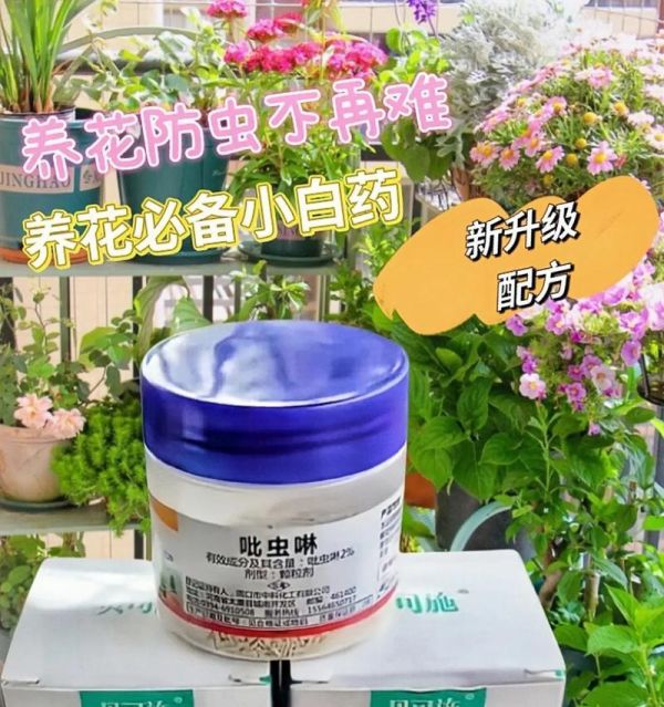 養(yǎng)花時應該使用哪些藥物？如何正確使用花卉藥物？