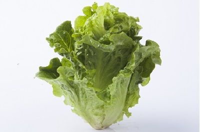 生菜