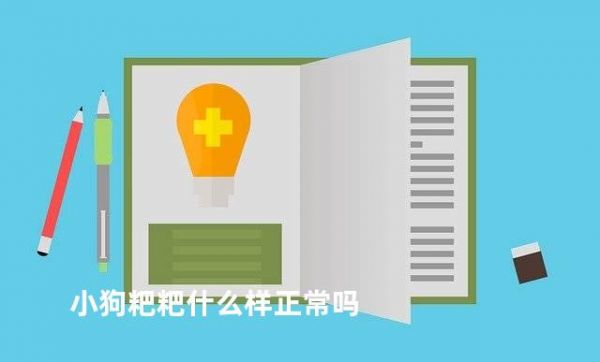 小狗粑粑什么樣正常嗎