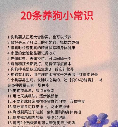 養(yǎng)狗知識(shí)（揭秘狗狗排便頻率的秘密，了解你的愛寵的健康需求）