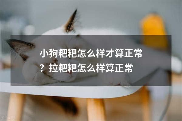 小狗粑粑怎么样才算正常？拉粑粑怎么样算正常