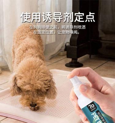狗狗的糞便是如何反映它的健康狀況的（從顏色）