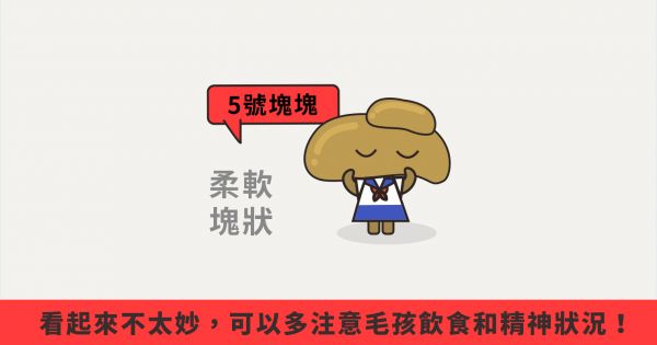 軟便、貓咪軟便、狗狗軟便、拉肚子