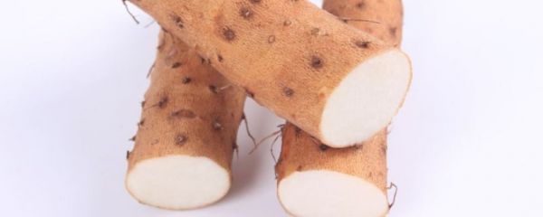 寒露如何饮食 寒露吃什么好 寒露怎么养生好