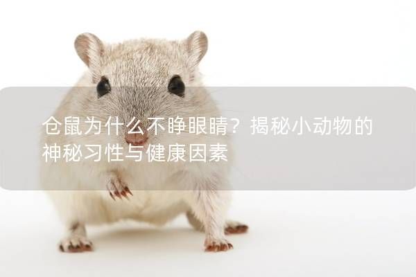 倉(cāng)鼠為什么不睜眼睛？揭秘小動(dòng)物的神秘習(xí)性與健康因素