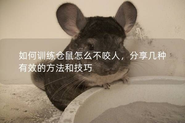 如何訓(xùn)練倉(cāng)鼠怎么不咬人，分享幾種有效的方法和技巧