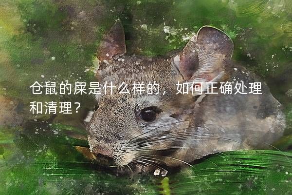 倉鼠的屎是什么樣的，如何正確處理和清理？